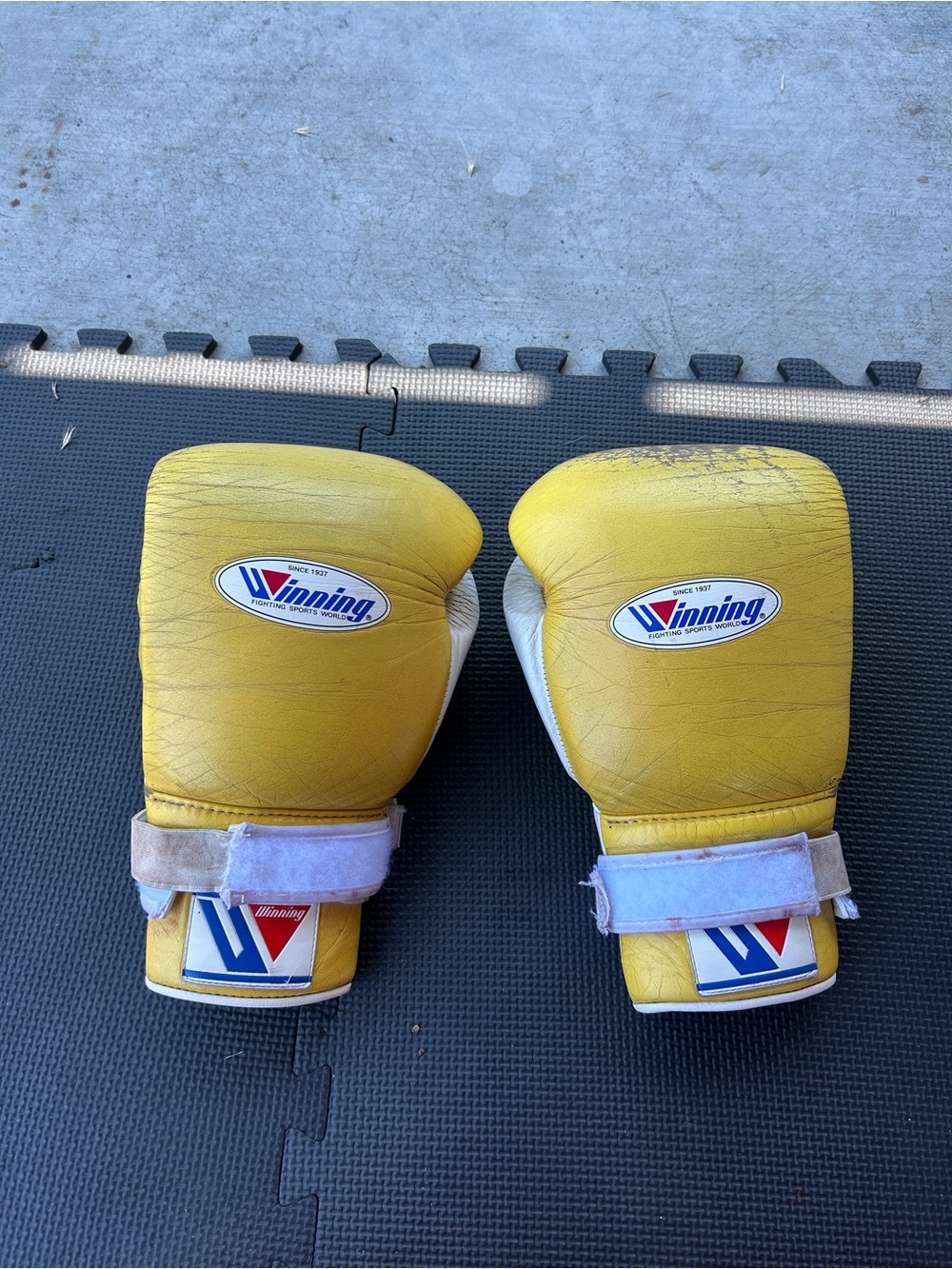 Winning Boxing Gloves w/ Lace-N-Loop